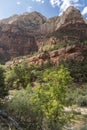 Rock Structure and trees Zion National Park Royalty Free Stock Photo